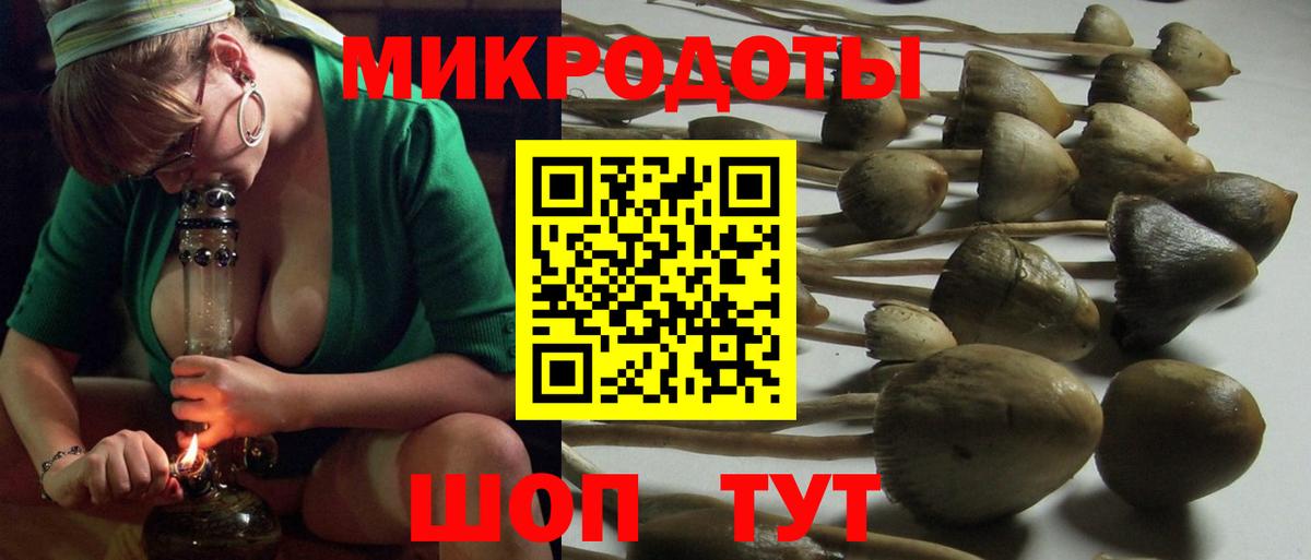 Псилоцибиновые грибы Magic Shrooms Мурманск