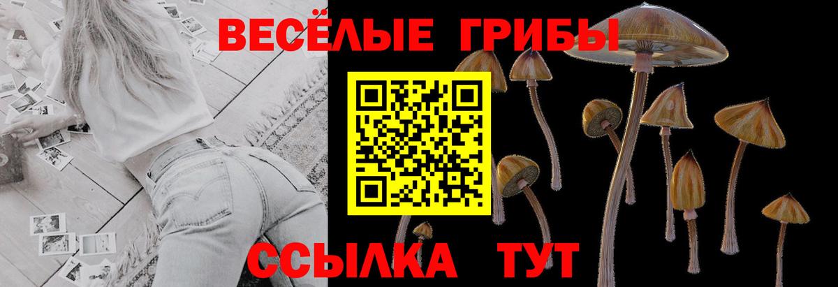Псилоцибиновые грибы прущие грибы  продажа наркотиков  Мурманск  Вход с VPN 
